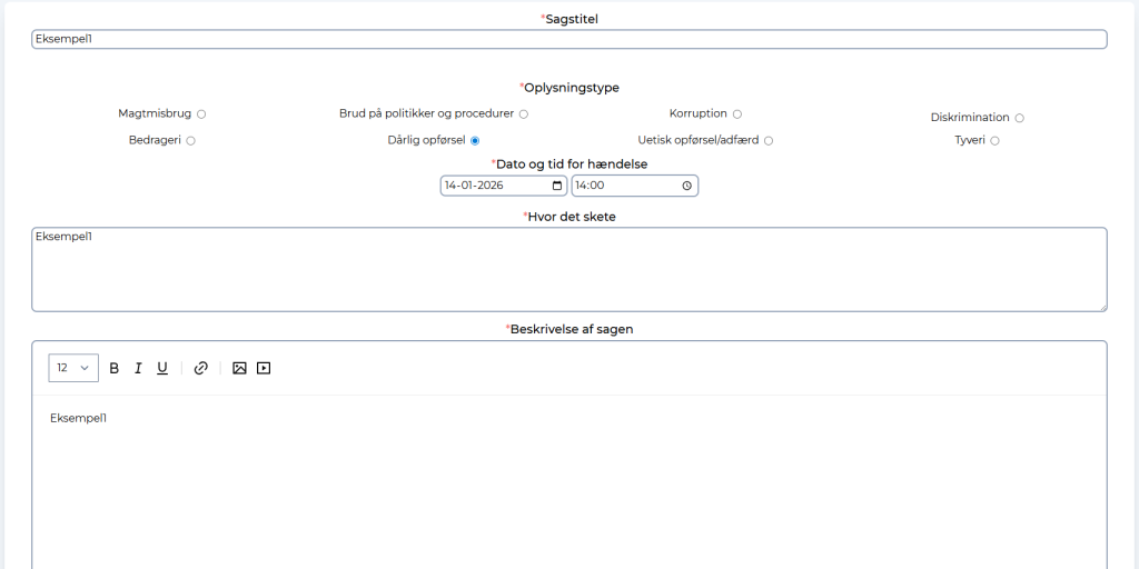 2. I dette step navngives sagen, oplysningstype, dato, hvor hændelsen skete samt beskrivelse af sagen.